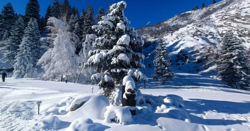 Oi Qaragai тау курортын дамыту жобасы бойынша инвестициялық келісім мақұлданды