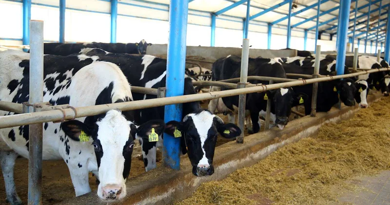 Токаев поручил комплексно развивать АПК