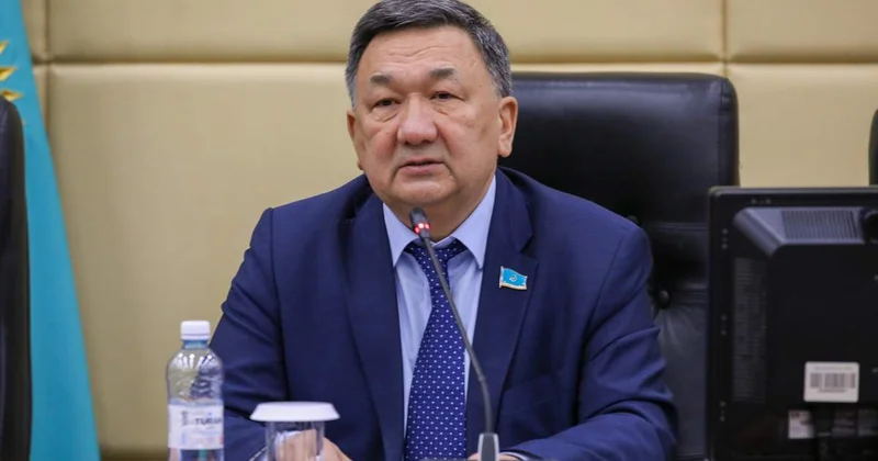 Жаңа Конституция жобасының әр бабына шамамен 52 ұсыныстан түсті Серік Егізбаев