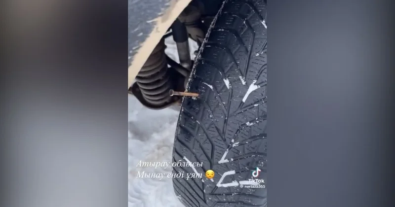 ​Атырауда браконьерлер Жайық өзеніне тұзақ құрған