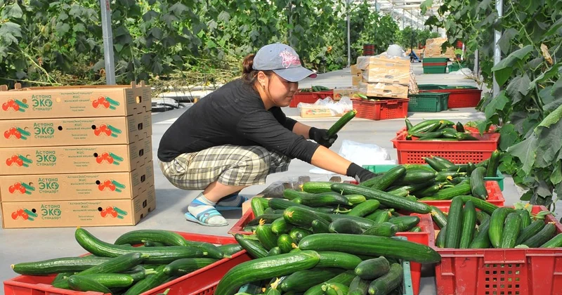 Баға тұрақтылығы басты назарда