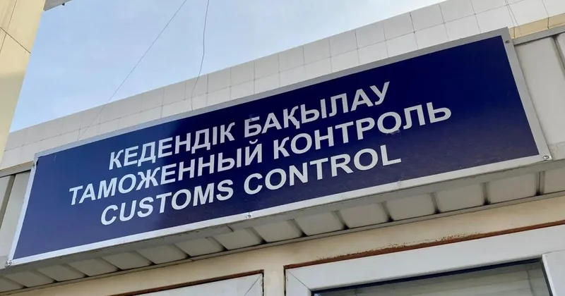 Президент салық және кеден жүйесін басқарудың цифрлық тәсілін енгізуді тапсырды