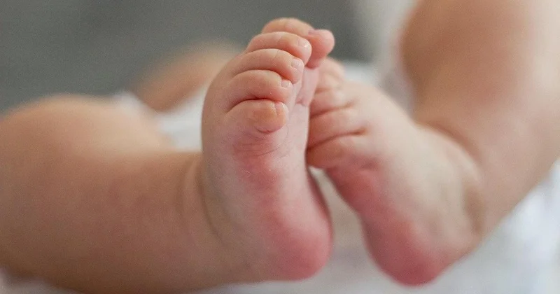 Новорожденного нашли в контейнере в Семее: подозреваемых не поместили в ИВС