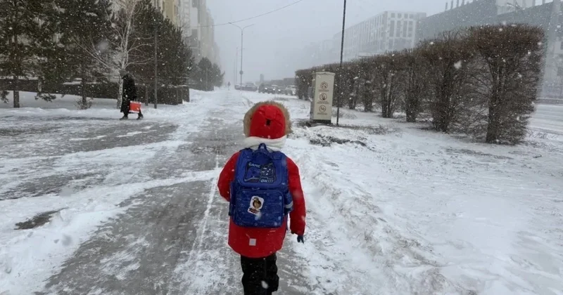 Школьники остаются дома: в Астане отменили занятия второй смены