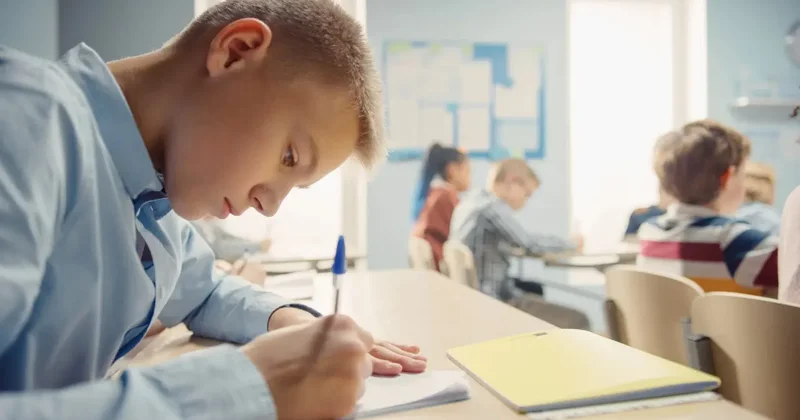 Школьники не успевают писать СОЧи из за отмены занятий: что говорят в Минпросвете