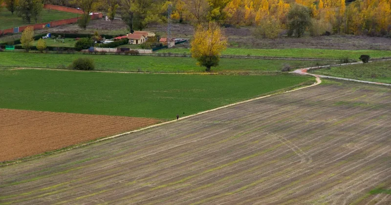 Изъяли землю без выплаты компенсации: житель Шымкента осудил у акимата 83 млн тенге