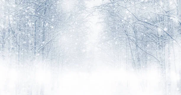 Ақтүтек боран: Полиция жүргізушілерге алыс жолға шықпауды ескертті