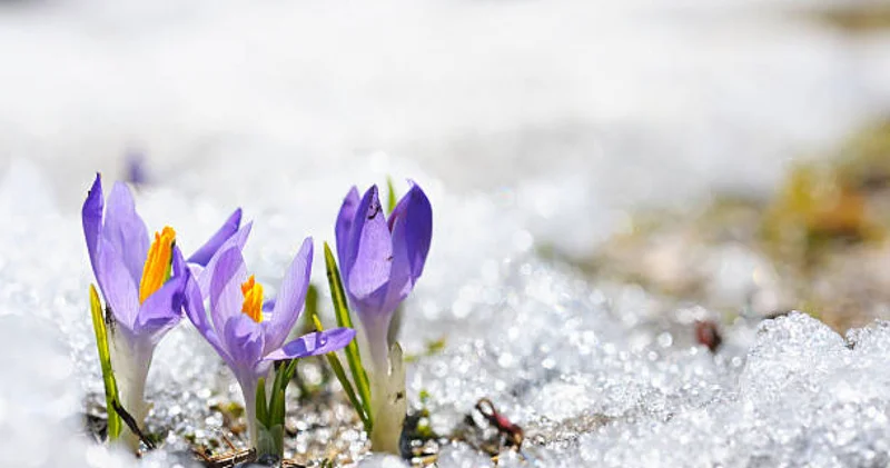 Қазақстан бойынша дауылды ескертулер: аяз, дауылды жел мен боран күтіледі