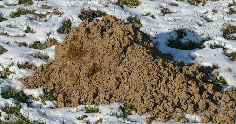 Найдены тела еще двух членов пропавшей семьи в Атырауской области