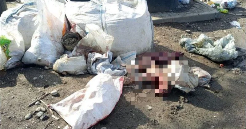 Мешки с обезображенными трупами животных обнаружили в Алматы