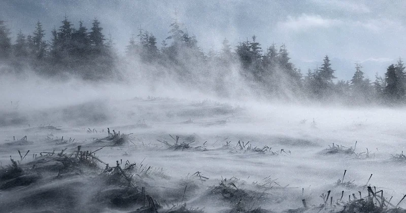 В массовом ДТП на трассе Астана Караганда погиб человек: в МЧС призвали к осторожности