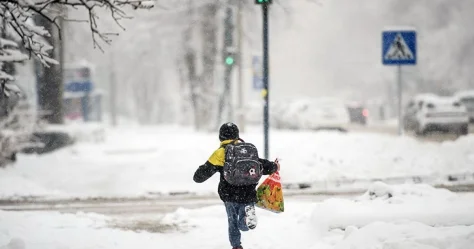 Учеников начальных классов перевели на удаленку в Астане