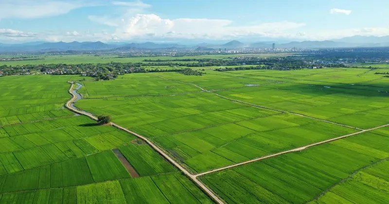 Шымкентте ер адамның жерін жол салу үшін мәжбүрлеп алып, сот арқылы өтемақы алған