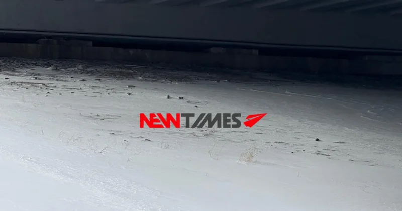 Фекалии под мостом: мигрантов со стройки ЛРТ обвинили в антисанитарии в центре Астаны