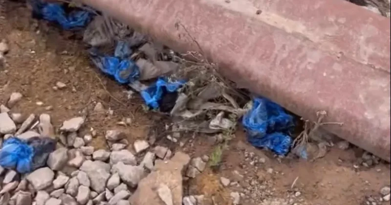 Свалка бахил у поликлиники возмутила астанчанку