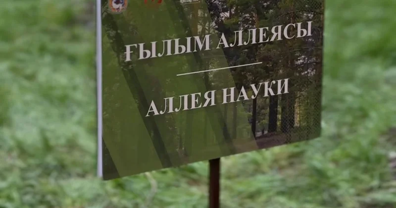 Где в Алматы появилась аллея науки