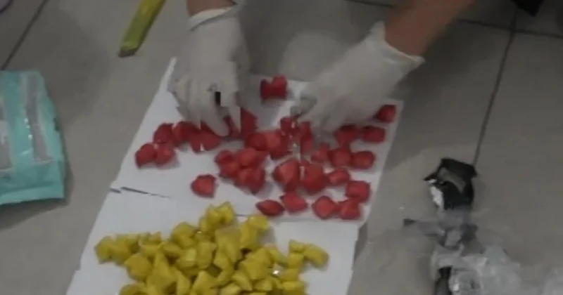 Үш келіге 3 млн теңге: ШҚО да есірткіні өз еркімен тапсырғандар сыйақы алды