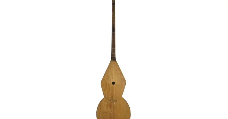 Қос шанақты домбыра