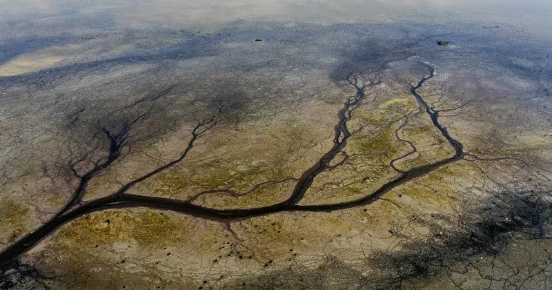 2040 жылға қарай 33 ел, соның ішінде Түркия да су тапшылығына ұшырайды