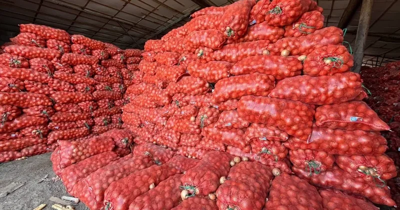 ЕАЭС обнулил пошлины на импорт этих овощей для Казахстана