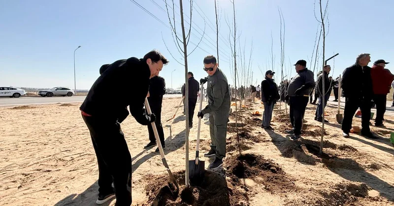 3000 түп ағаш егілді