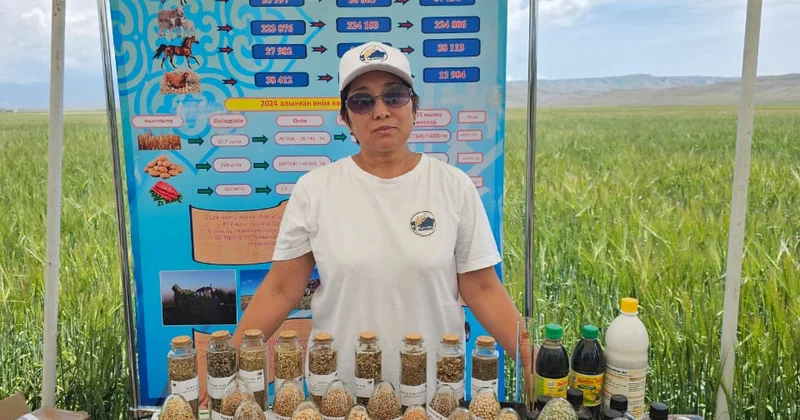 Азық түлік сапасы: Химиялық тыңайтқыштар денсаулыққа қалай әсер етеді?