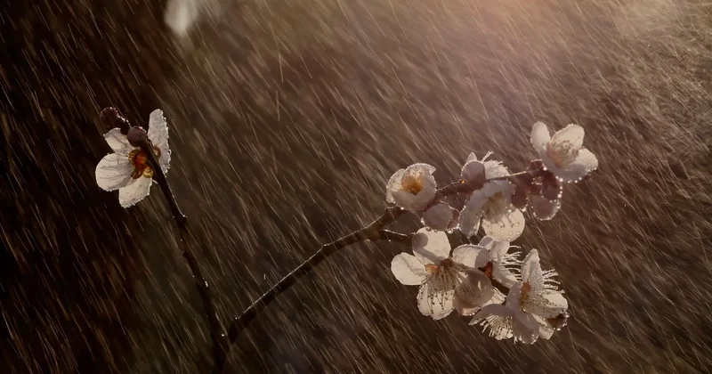 Алматыда +24°С қа дейін жылынады, бірақ апта соңында қайтадан жаңбыр жауады