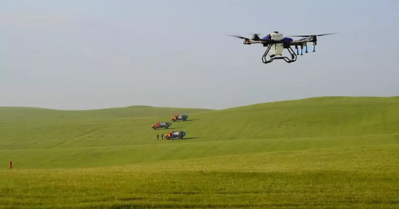 Биыл шегірткеге қарсы 2,2 млн гектардан астам жер өңделеді