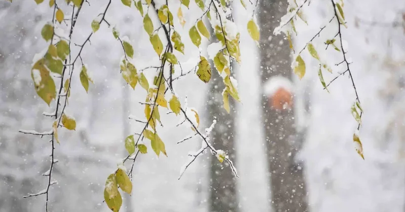 Казахстанцев предупредили о снеге в ближайшие дни
