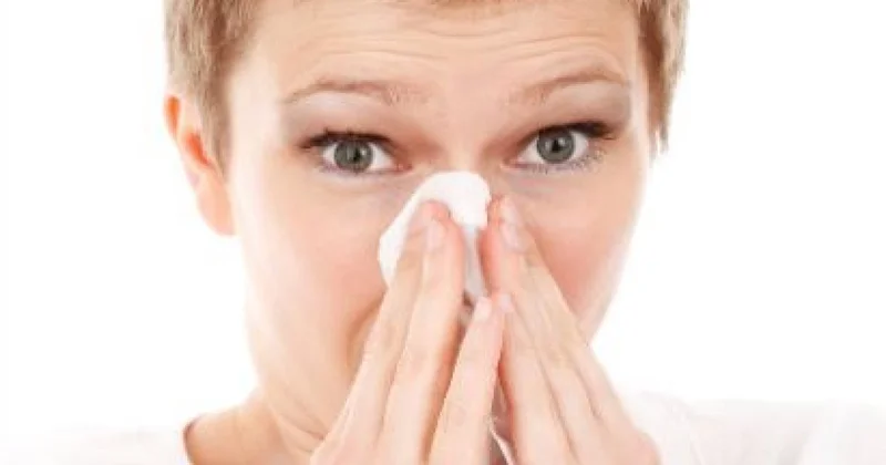 Аллергия атакует: как не попасть под удар