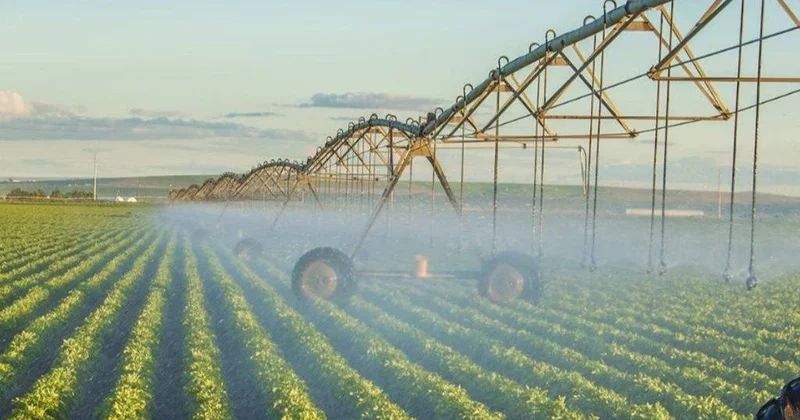 Түркістан облысында егісті сумен қамтамасыз ету мәселесі қалай шешіліп жатыр