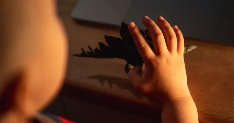 Казахстанка заявила о борьбе за сына после развода с кыргызстанцем