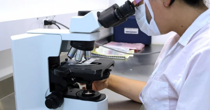 Касым Жомарт Токаев обратил внимание на важность подготовки инженерно технических кадров и развития наукоградов