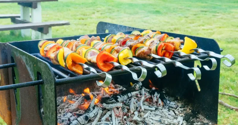 Шашлык и уборка на даче: пожарные начали обходы, как избежать штрафа?