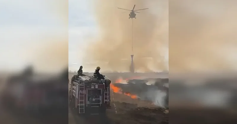 Сухая трава загорелась в Северо Казахстанской области: пожар тушат с воздуха