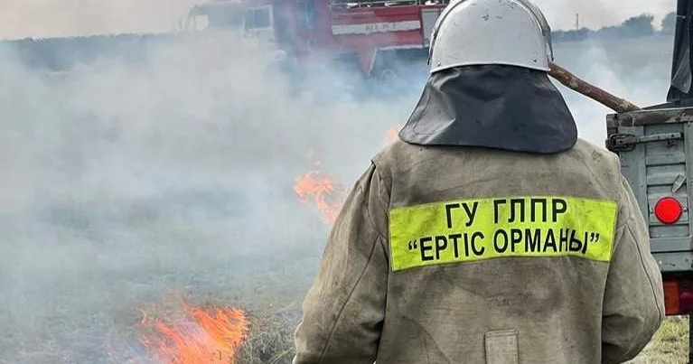 ШҚО да соңғы үш жылда 117 орман және дала өрті тіркелген