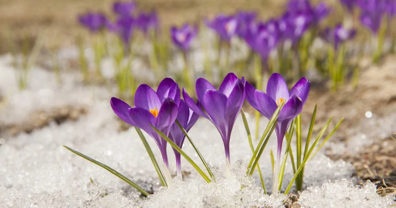 Қазақстанда 109 жыл бұрынғы температура рекорды жаңарды