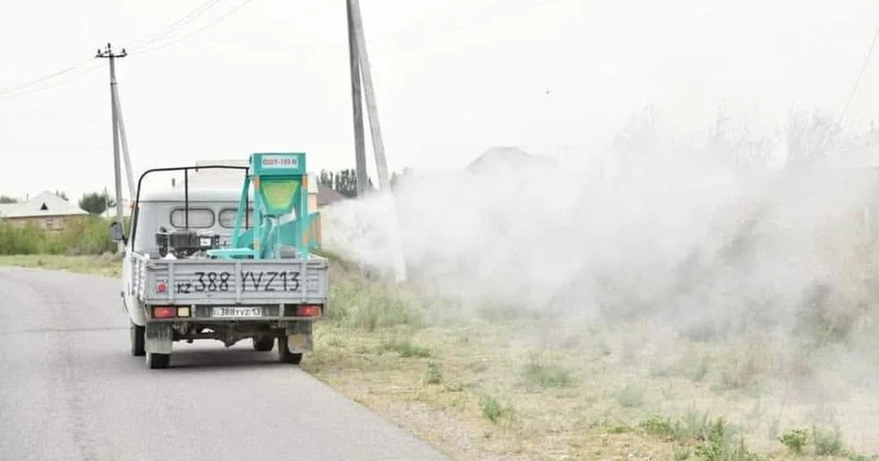 Шегірткеге қарсы күрес қарқын алды