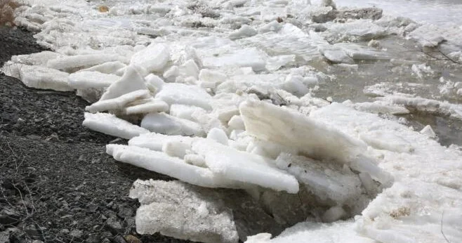 Ертіс өзенінде сең қозғалды