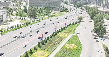 Жасыл желекке жанашырлық