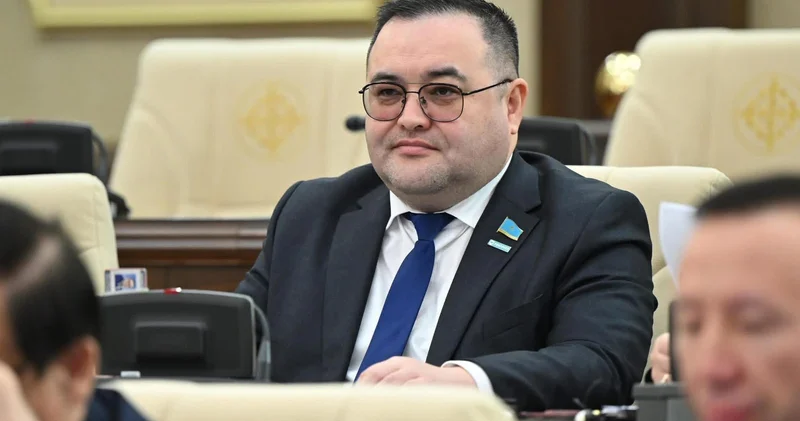 Саяси партиялар қандай мәселелерге назар аударуы қажет?