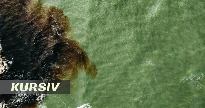 Экологи проверяют Каспийское море из за масляного пятна