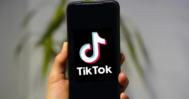 Алматылық келіншек TikTok қа ролик түсіріп, сотқа тартылды