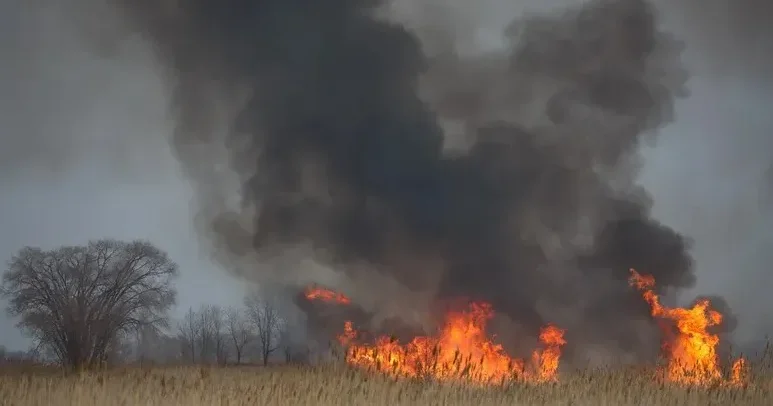 Қарағандыны сасық түтін басты