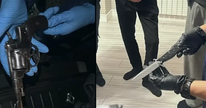 Оружие и дорогие авто нашли у криминальной банды в Казахстане. Среди задержанных судимые за убийство