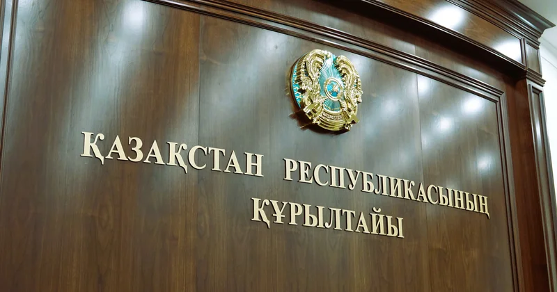 Жария кешірім сұраудан жалақыдан айыруға дейін: Құрылтай депутаттары не үшін жазалануы мүмкін
