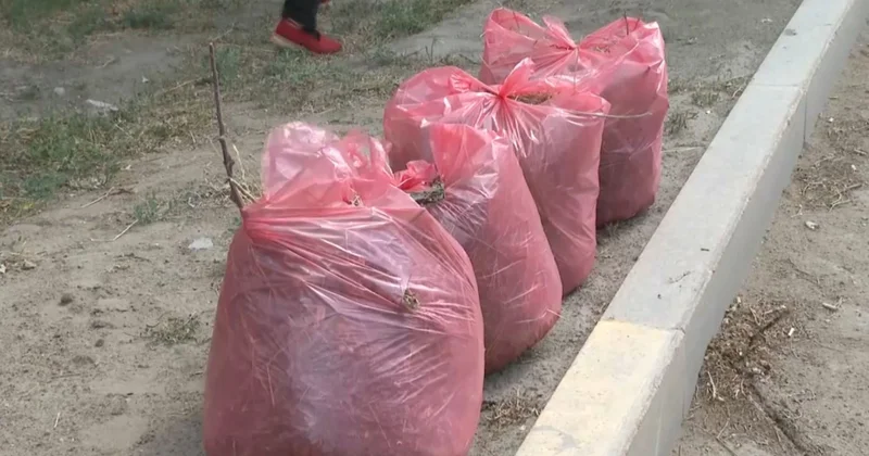 Петропавлда республикалық акция аясында кезекті экошара өтті