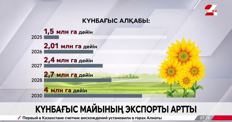 Күнбағыс майының экспорты артты