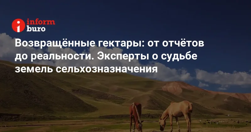 Возвращённые гектары: от отчётов до реальности. Эксперты о судьбе земель сельхозназначения