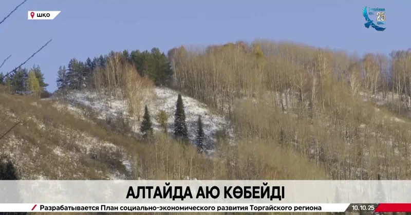 Риддер тұрғындары аюлардан қорқып отыр